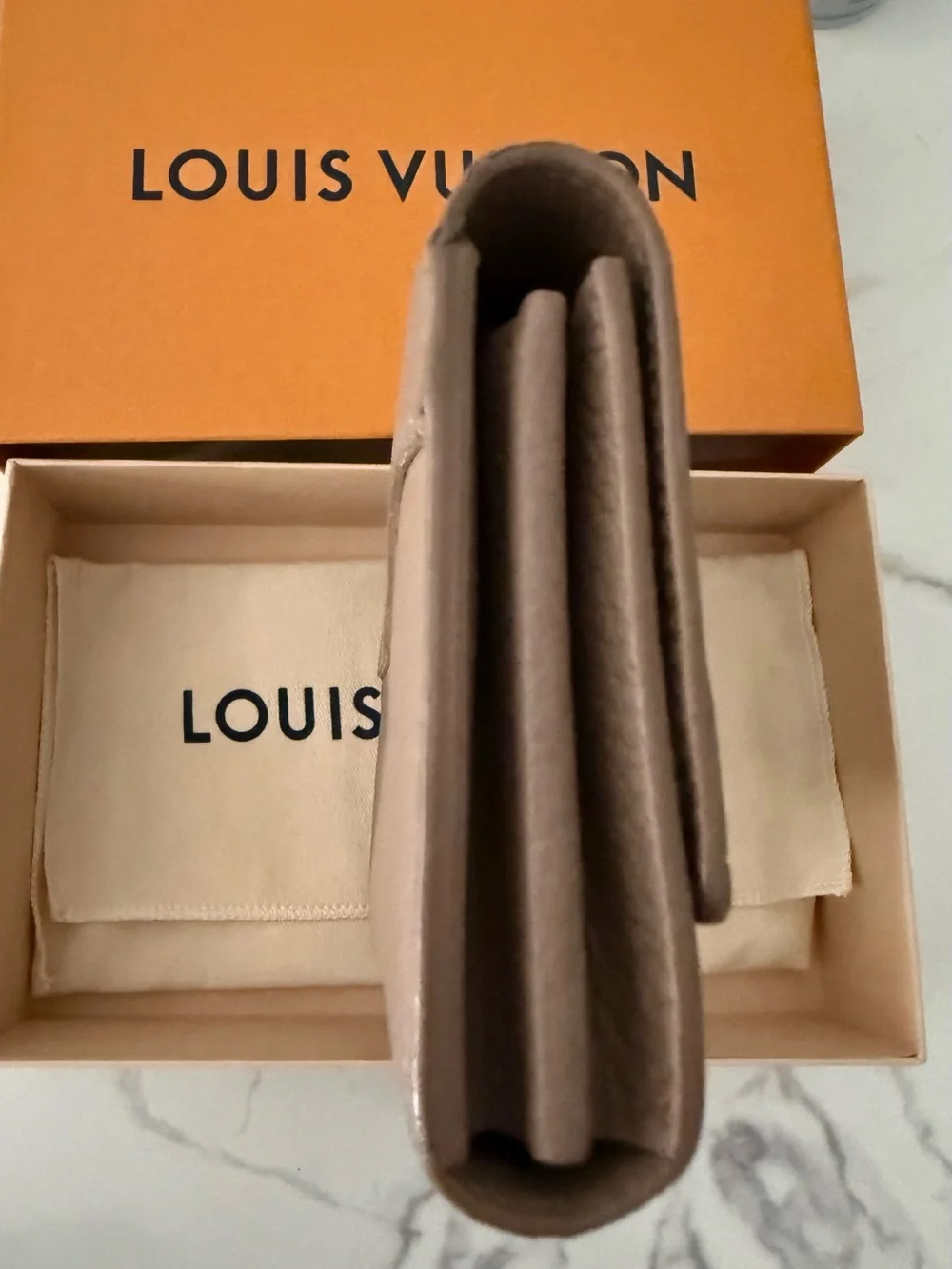 Louis Vuitton Portefeuille Capucines Long Wallet with Gold LV Emblem